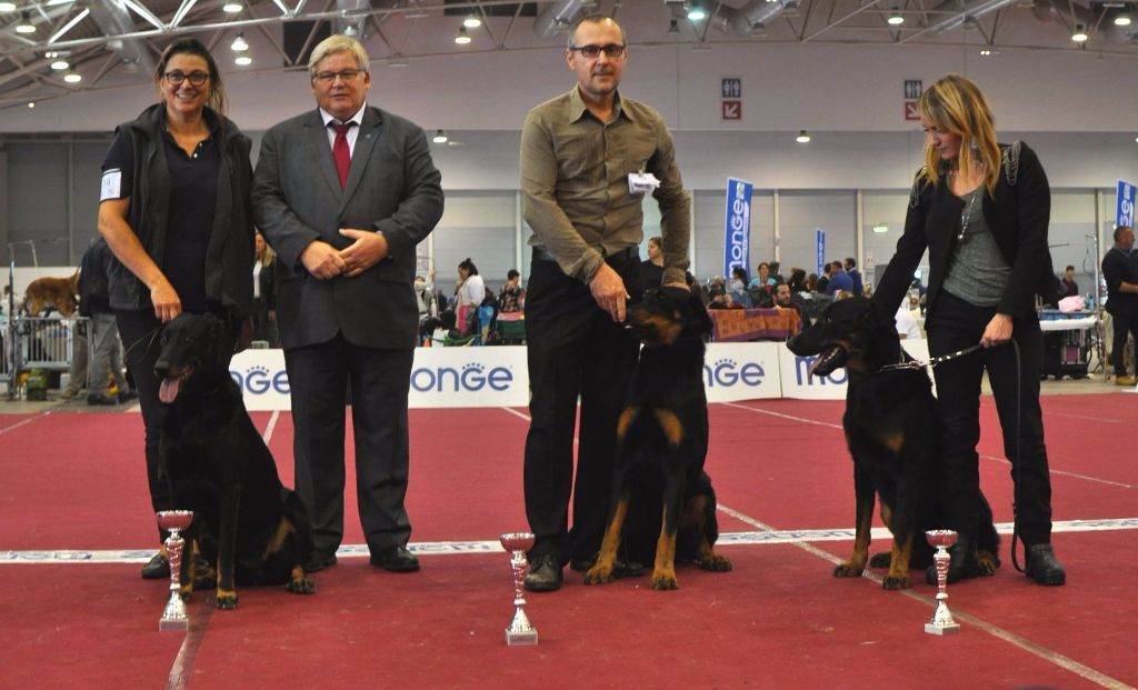 Des Gardiens De Rome - INTERNATIONALE DE ROME - 22-10-2017