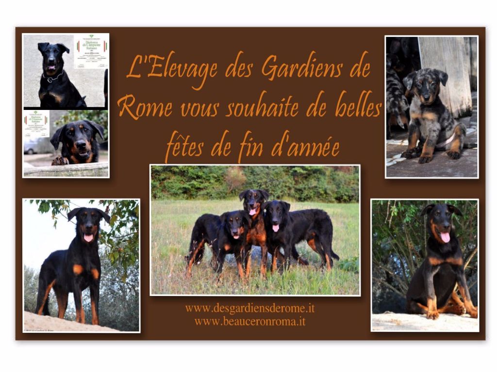 Des Gardiens De Rome - L'ELEVAGE DES GARDIENS DE ROME