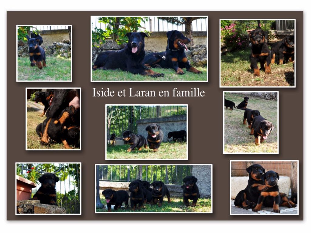 Des Gardiens De Rome - ISIDE ET LARAN EN FAMILLE