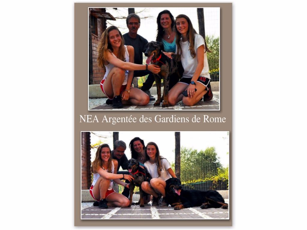 Des Gardiens De Rome - NEA ARGENTEE PART POUR LA HOLLANDE