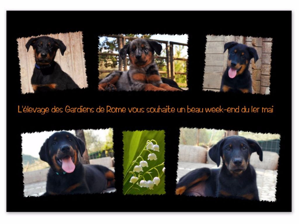 Des Gardiens De Rome - Un joli 1er Mai de la part des Gardiens de Rome