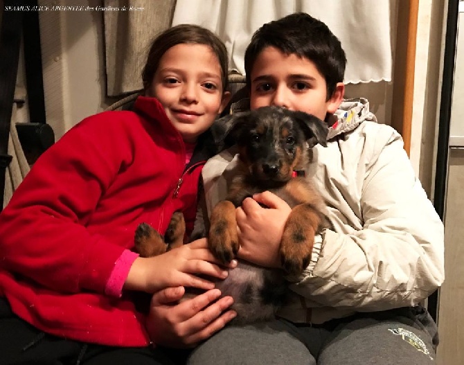 Des Gardiens De Rome - SEAMUS ARGENTEE DES GARDIENS DE ROME
