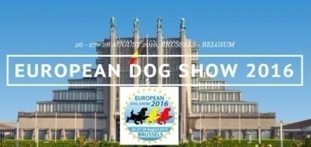 Des Gardiens De Rome - RESULTATS DES CHAMPIONNATS D'EUROPE
