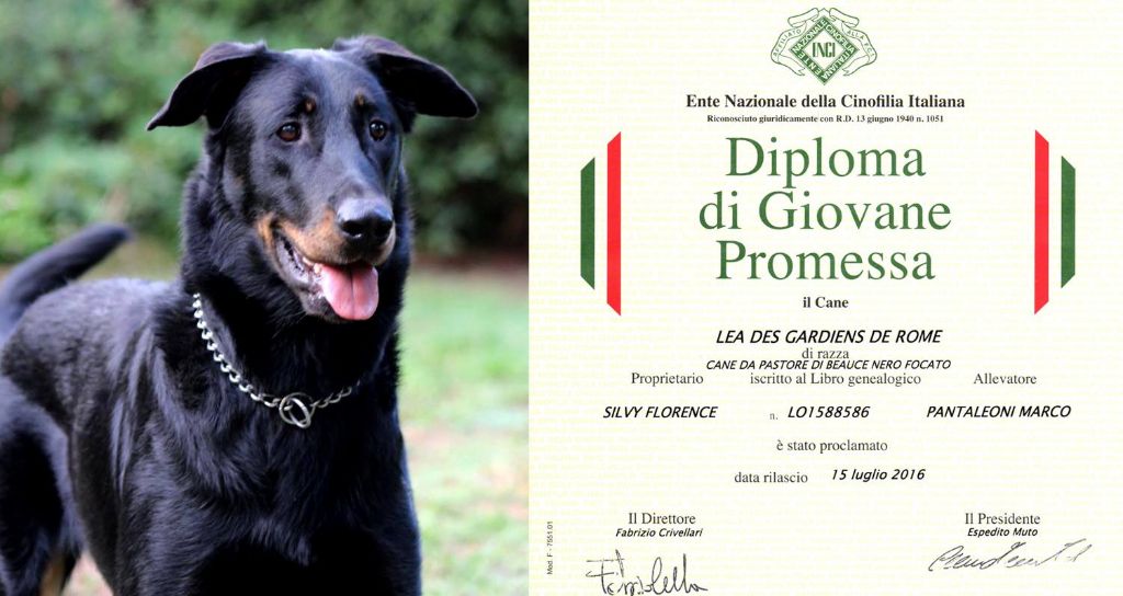 Des Gardiens De Rome - LEA DES GARDIENS DE ROME